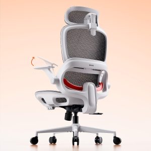 SIHOO B100 Ergonomic Office Chair, ...
