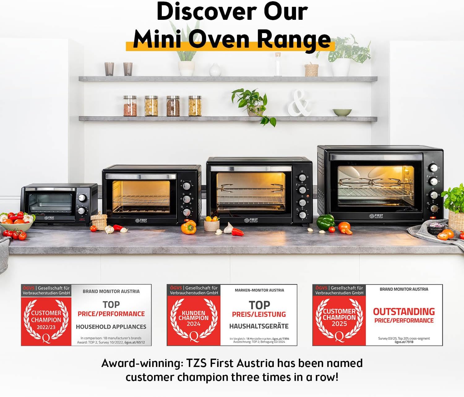 TZS First Austria - Mini Oven 60L 2000W - Small Pizza-Oven temperature control up to 230°C & 6 modes - Baking-Oven with 60 min. timer, 4 rack levels, baking tray, grill rack & rotisserie skewer - Image 8